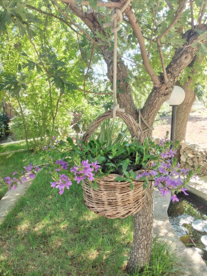 ロコロトンド Il Trullo Feliceヴィラ エクステリア 写真